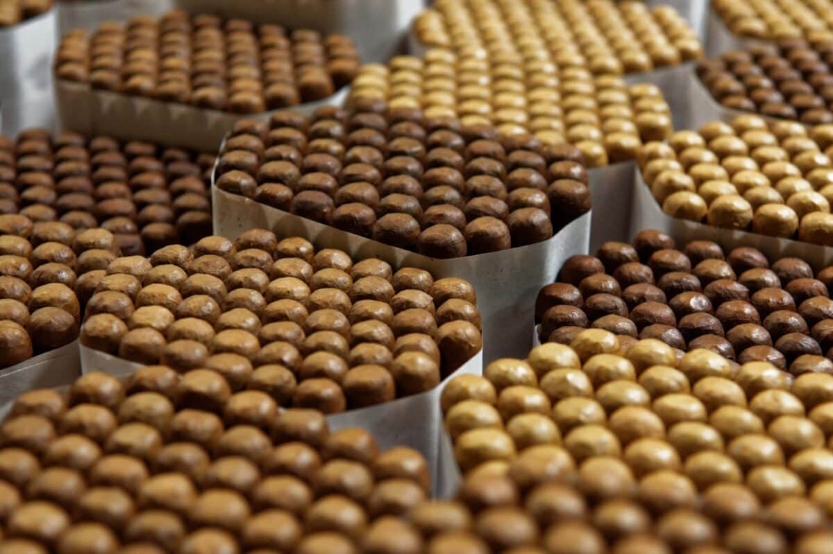 hand-rolled-cigars-2021-08-29-01-08-58-utc-scaled