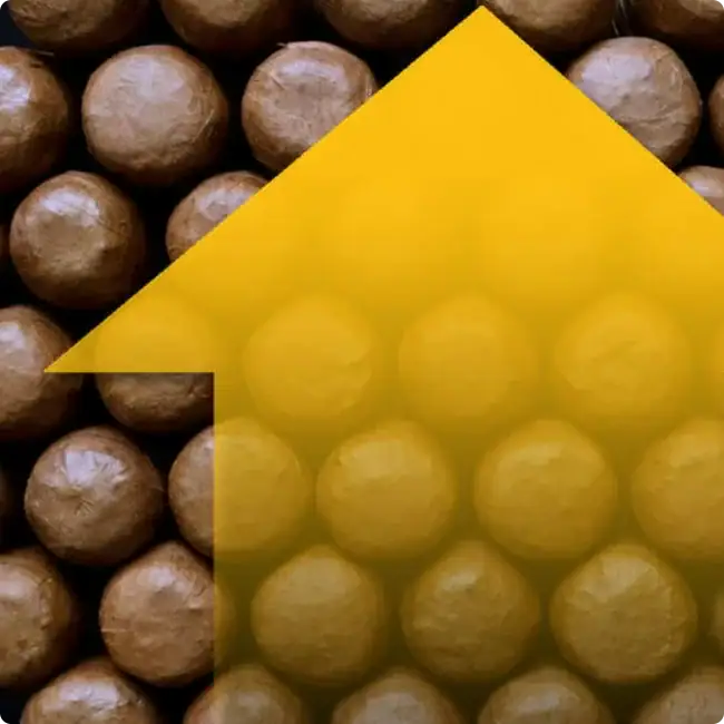 member-benefits-img-fostering-growth