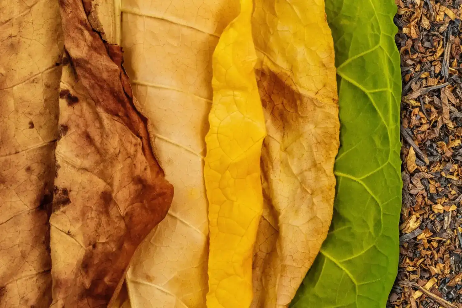 shutterstock_1037222869-small