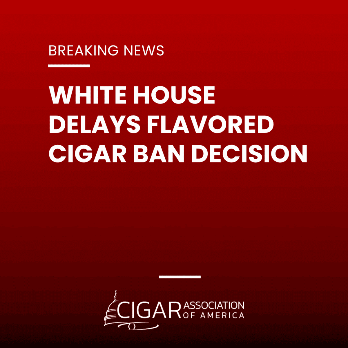 white-house-delays-flavored-cigar-ban-decision-dec-2023